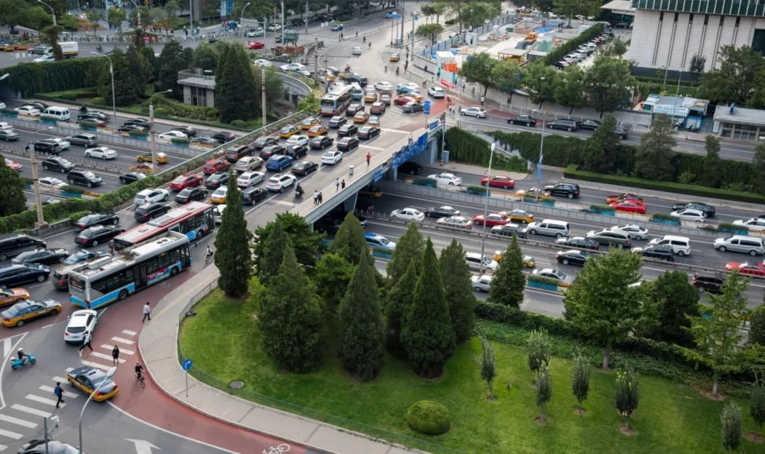 《城市道路绿化设计标准》解读